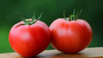 Pomidory: cienki krwi, nadciśnienie tętnicze, cukrzyca lekarstwo, a nawet onkologia